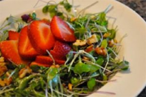 microgreens salad