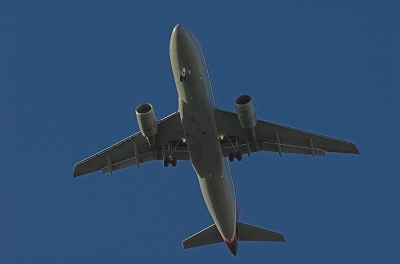 Get RIPPED!® by Jari Love