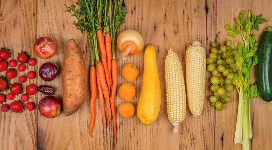 Get RIPPED!® by Jari Love