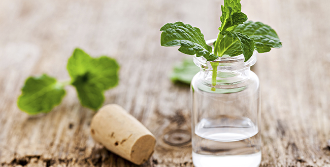 Get RIPPED!® by Jari Love