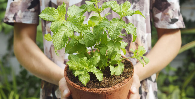 Get RIPPED!® by Jari Love